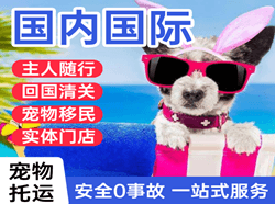 抚远东极空运国际宠物托运 【国